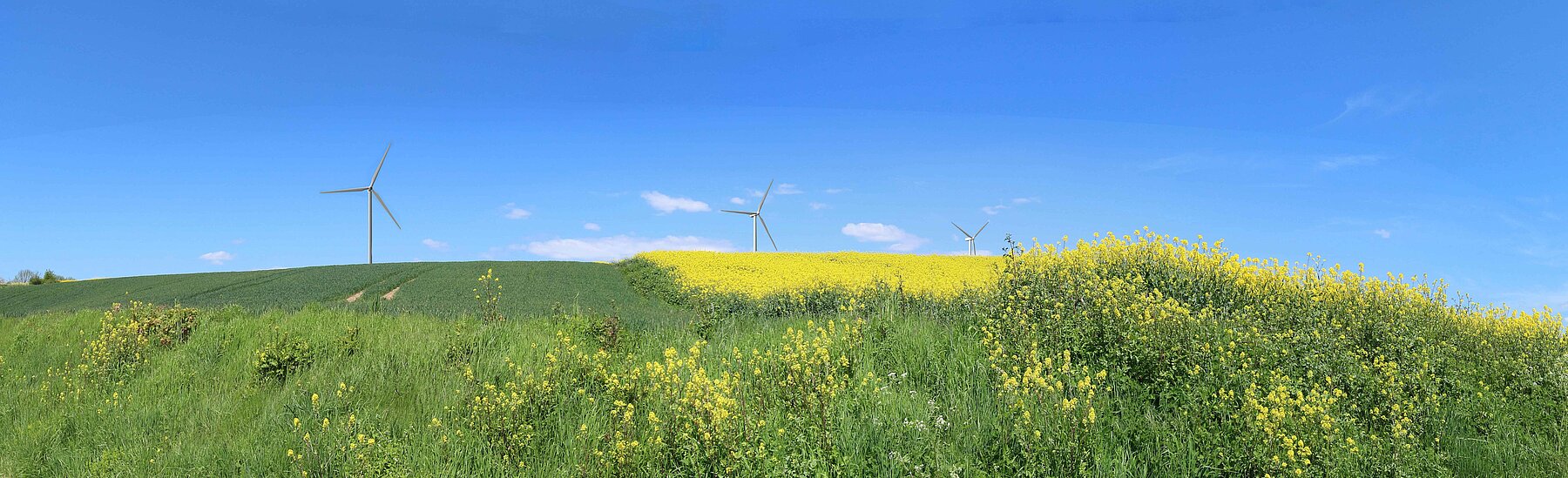 Bienvenue sur le site internet du projet éolien Les Chesnots !